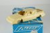 画像1: ALEZAN 1/43kit Alpine GTA US 1987 (1)